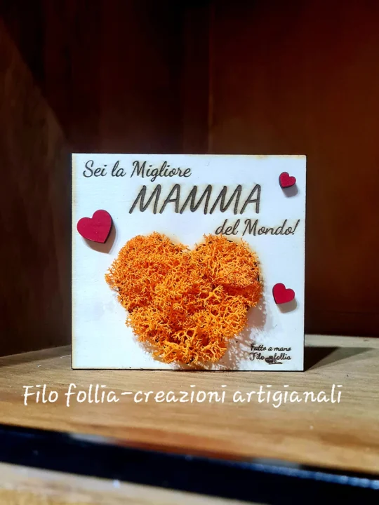 mini quadretto stabilizzato (1)